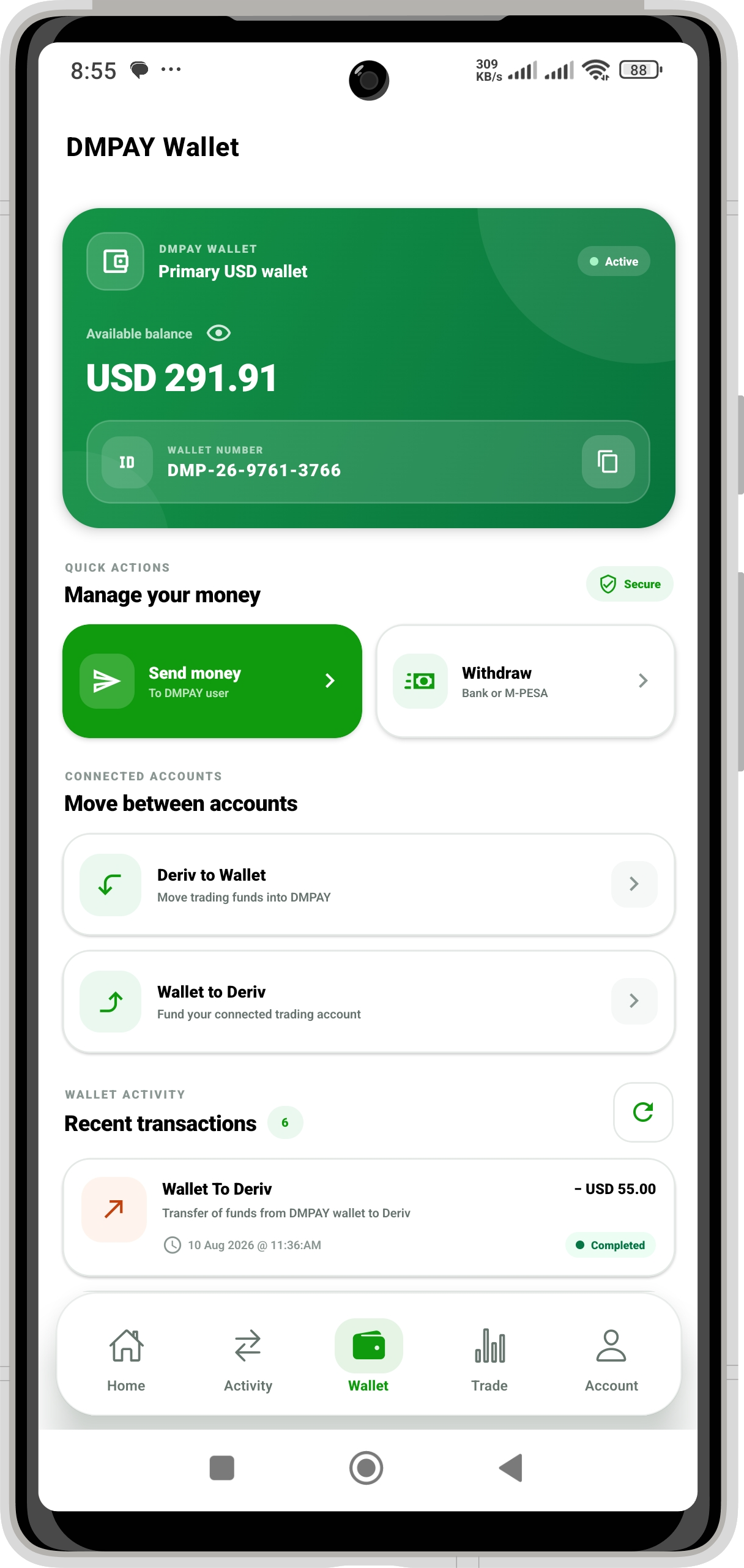 DM PAY Wallet screen showing balance, send money, withdrawals and local payment services